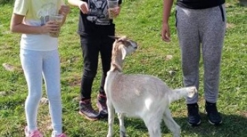 Wycieczka w Bieszczady klasy IV i V