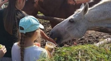 Wycieczka w Bieszczady klasy IV i V